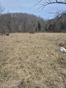 1075 Lithia RD