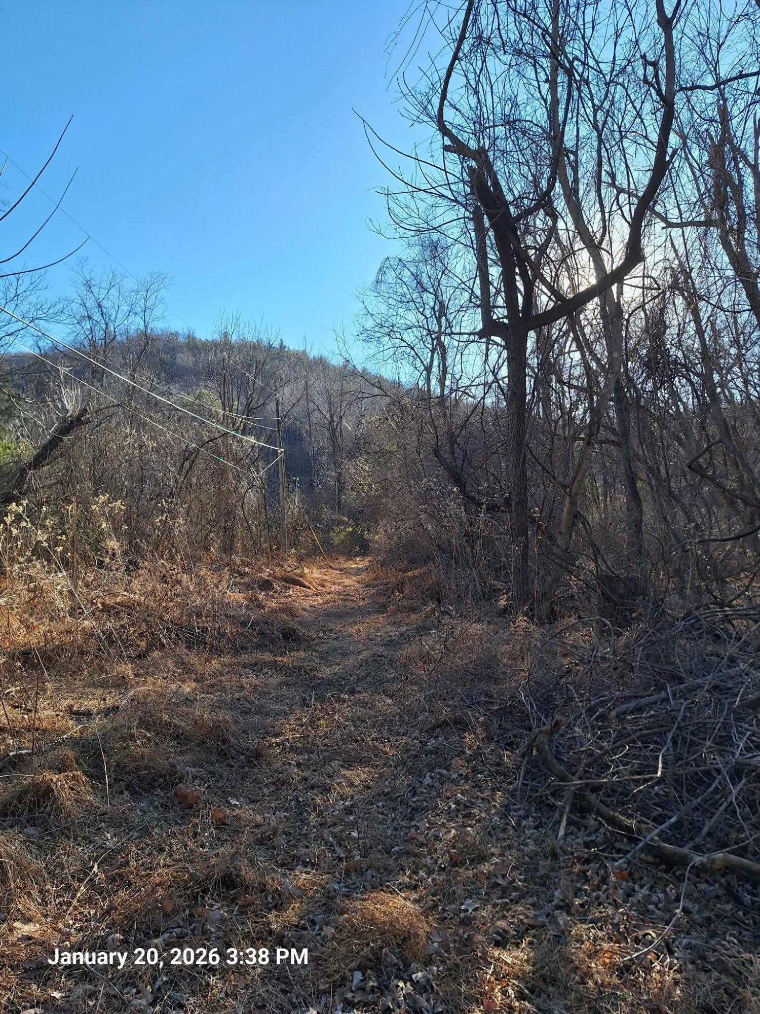 Image 2: 2071517160587116563