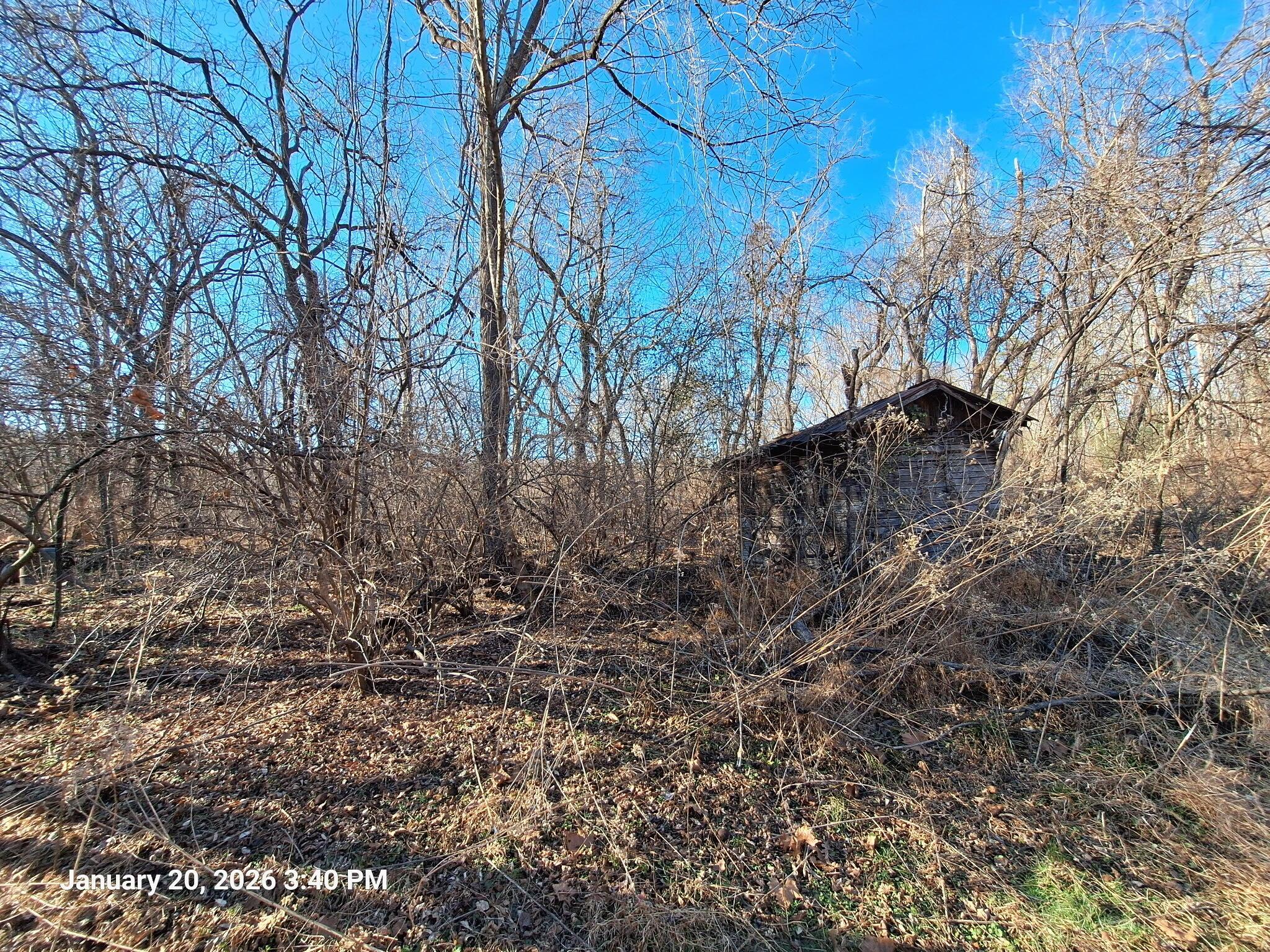 Image 3: 8373805215527509103