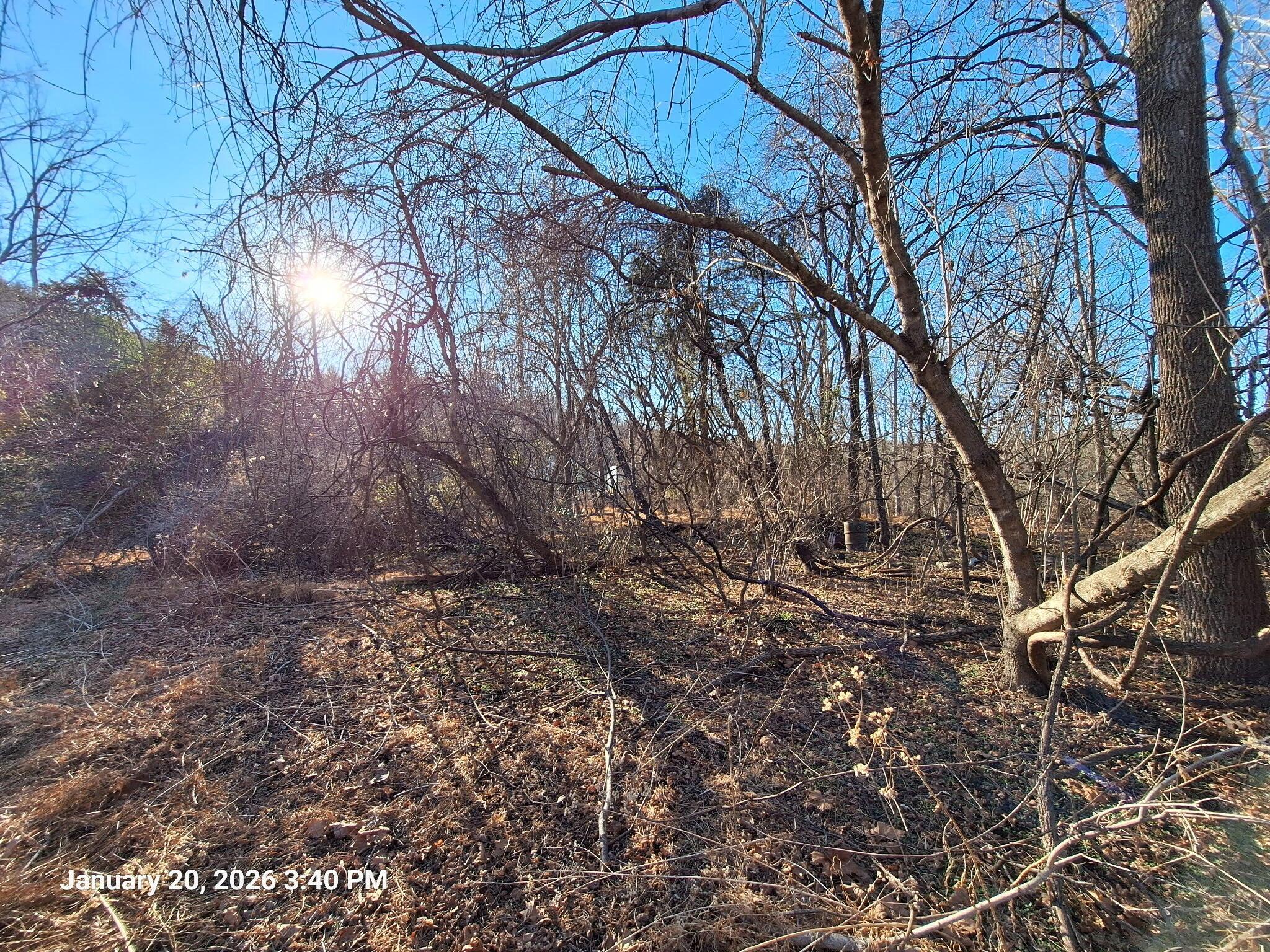 Image 4: 3057105212046793153