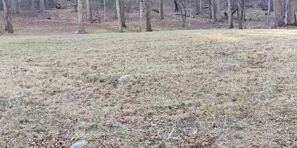 Lot #8 Miller Cove RD
