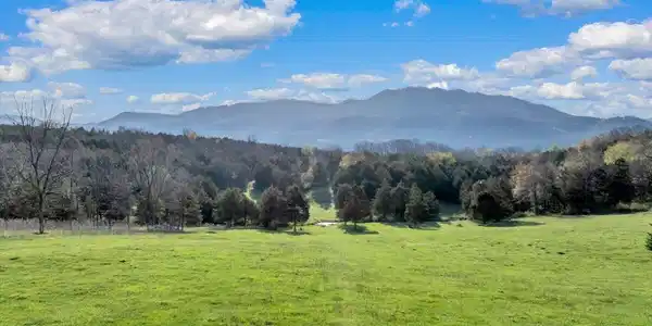 Image 2: 20-DJI_20260404073159_0321_D
