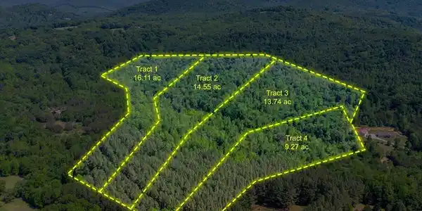 Image 2: mtn views