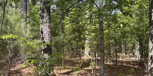 Image 3: nature at best