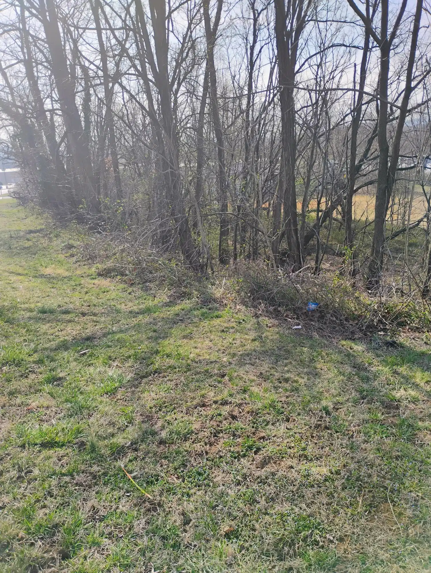 Image 1: dogwood land - dotson 2