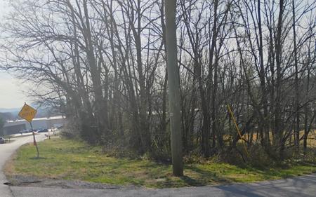 Dogwood LN