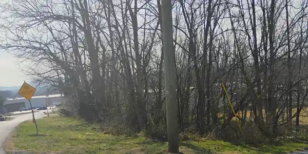 Dogwood LN