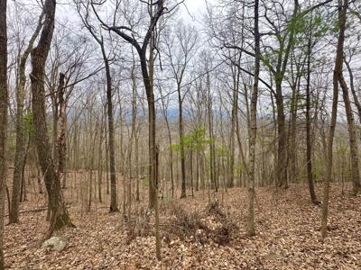 Lot #13 Taylor LN