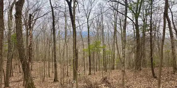 Lot #13 Taylor LN