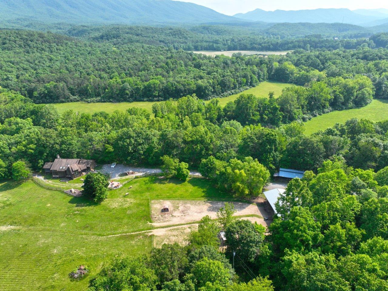 Image 3: DJI_0399