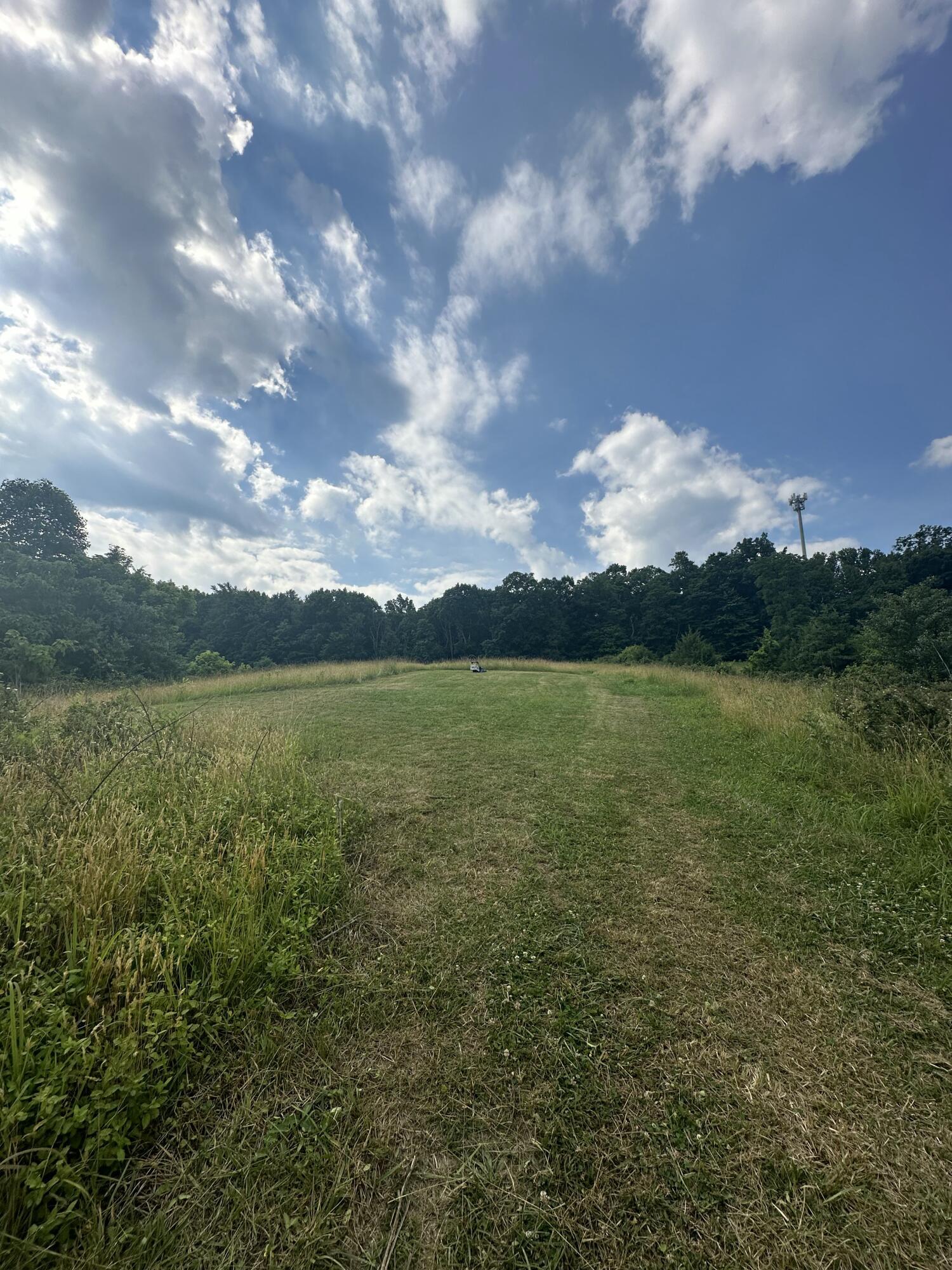 Image 3: IMG_20250408_100122 (1)