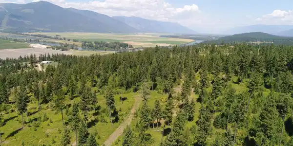 NNA Continental Lane - Tract 1