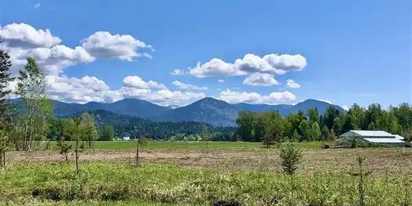 NNA Clydesdale Ct Lot 3