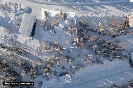 375 Blizzard Dr