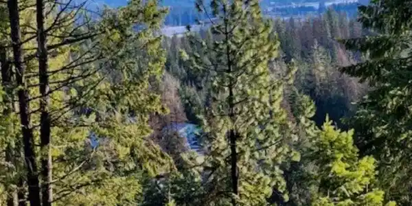 NNA Lot 3 Two Rivers