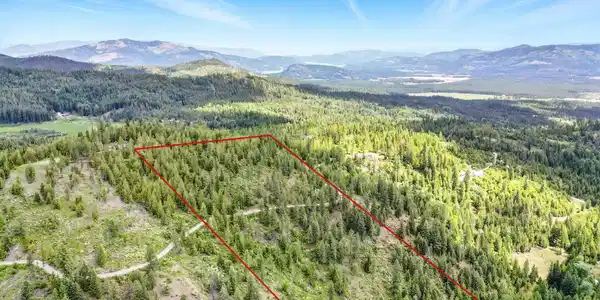 20Acres Mystery Moose Ln