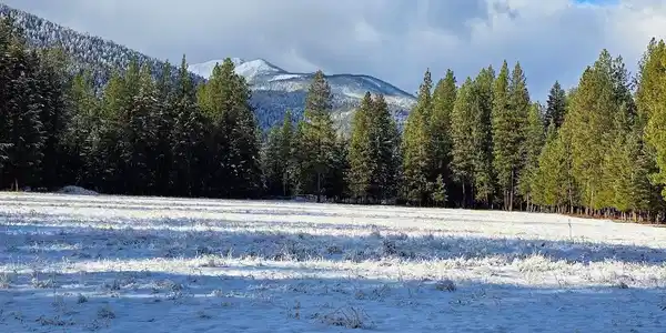 TBD Quartz Rd