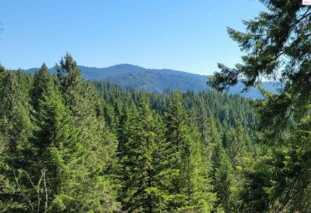NNA S. Bobsled Trail