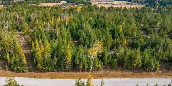 NNA Noble Lane Lot 3 Phase 2