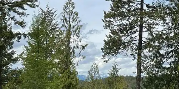 NNA  C37 White Cloud Drive