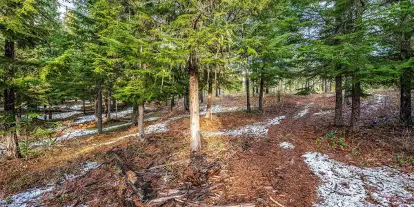 Lot 1~10.01 Ac Reeder Bay Road