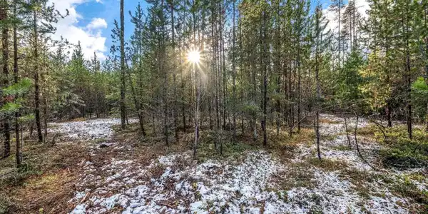 Lot 3~10.32 Ac Reeder Bay Road