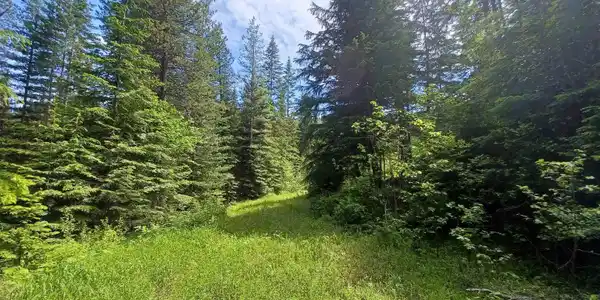 127 Coyote Trail
