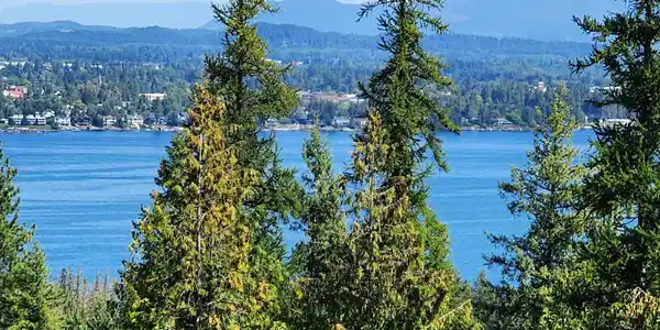 Lot 3, Mountain Ridge Drive