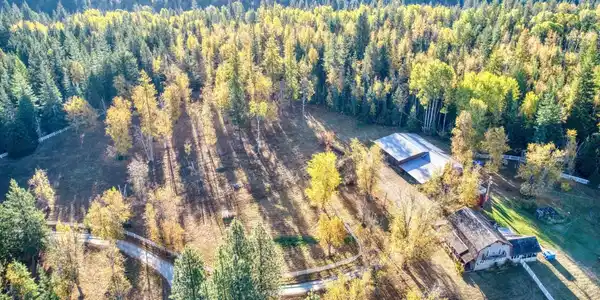 2877 Gold Creek Rd