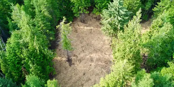 NNA Moondance Acres Lot 3