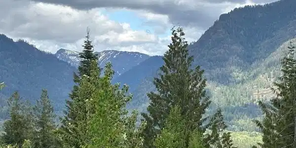 18 Majestic Mountain