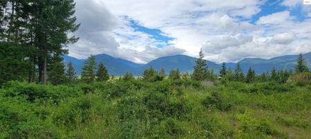 NNA Bootlegger Lane - Stein Mtn