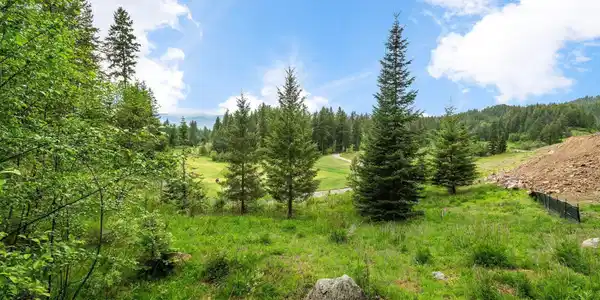 NNA B7 Wildflower Way