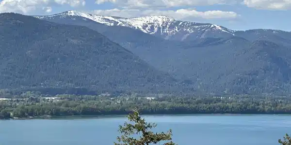 NNA Cheval Noir