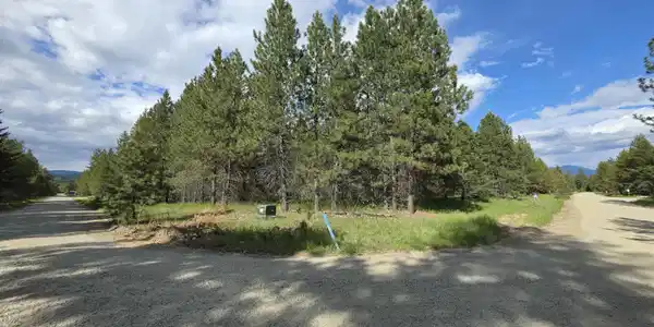 Image 4: Freshly graded gravel road looking NW at the property