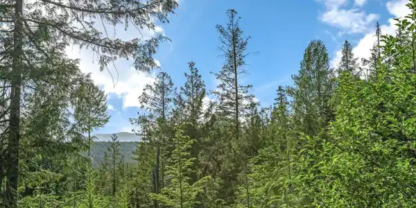NNA Barbary Trail