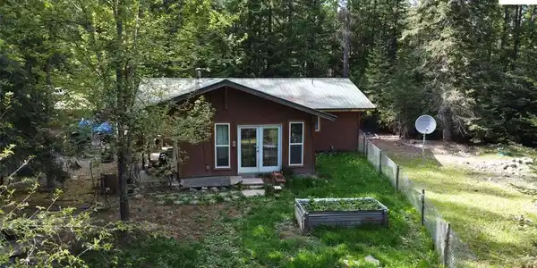 401 Western Larch