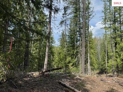 NNA Raven Ridge - 20 acres