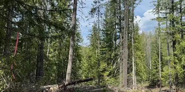 NNA Raven Ridge - 20 acres