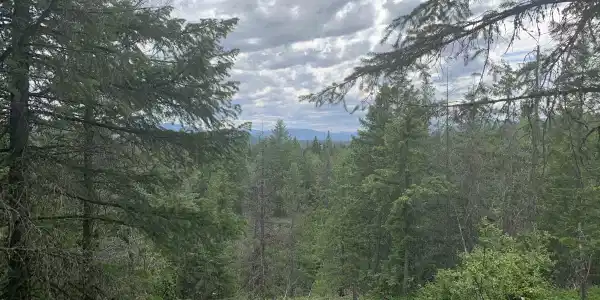NNA W Gold Creek Ridge Road