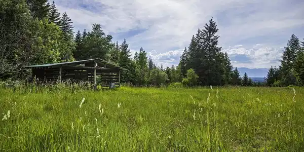 139 Two Tail Rd.