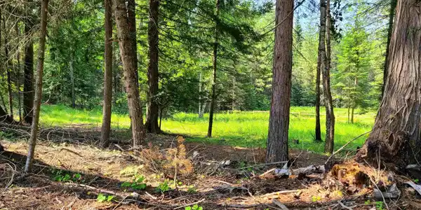 NNA Green Bay Rd - Lot 1C