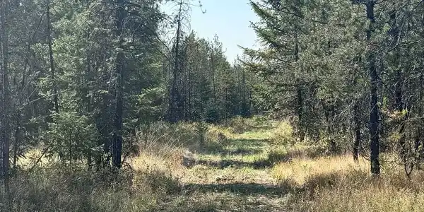 NNA 10acs Sky Meadow, Stone Pine Rd