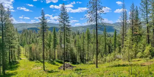 NKA Meadowland Drive