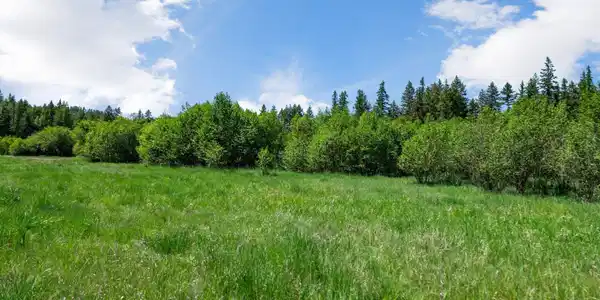 2902 Jewel Lake Road, Lot 1
