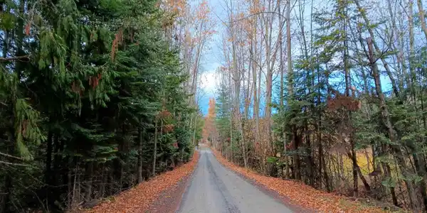 NNA Green Bay Rd - Lot 1A