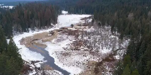 533739 US HWY 95 - 75 Acres