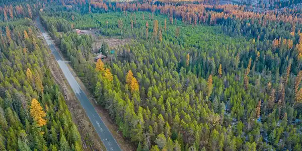 Lot 1~10 Acres Reeder Bay Road