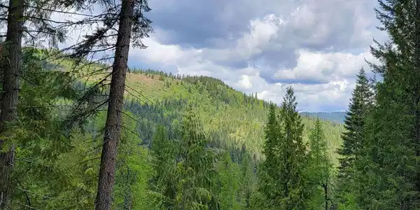 NNA Pup Paw Trail South Parcel