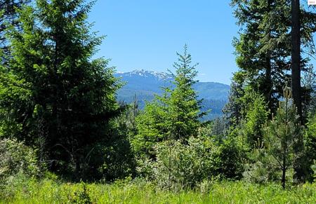 NNA Falcon Ridge Drive-#1